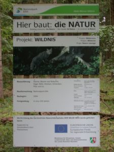 DSCN7324
